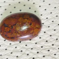 نگین شجر پاییزی