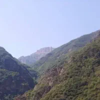 نیروی کار برای شهرستان