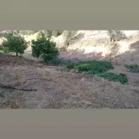 فروش زمین کشاورزی جاده جدید سنندج مریوان|فروش دفتر صنعتی، کشاورزی، تجاری|مریوان, |دیوار