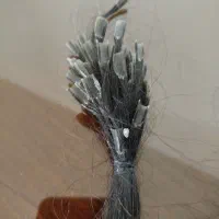 موی طبیعی ۶۵ سانت|آرایشی، بهداشتی، درمانی|ری, ولی آباد|دیوار