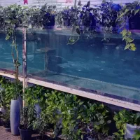 آکواریوم ۲متری|ماهی|اصفهان, سنجوانمره|دیوار