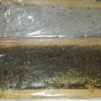 عسل با کیفیت