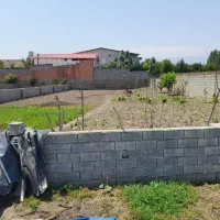 زمین بافت همراه با پروانه ساخت