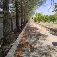 باغ  فروشی کوهمره سرخی مجموعه شمیم رامک