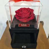 رز جاویدان سرخ،باکس کشو دار،ایده ال برای هدیه