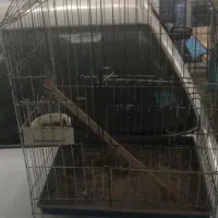 دو عدد قفس مرغ مینا و طوطی سالم|لوازم جانبی حیوانات|اهواز, کوی سعدی|دیوار