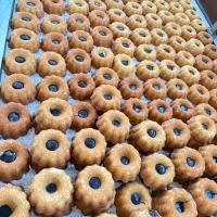 استخدام نیروی خانم