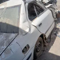 سمند تصادفی