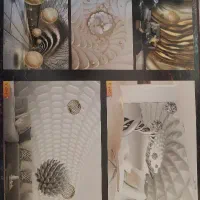 نقد و اقساط کاغذ دیواری، کفپوش ، پوستر دیواری|خدمات پیشه و مهارت|خرمآباد, |دیوار