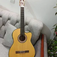 گیتار نیمه حرفه ای|گیتار، بیس، امپلیفایر|فولادشهر, مسکن مهر فولادشهر|دیوار