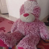 عروسک بزرگ فروشی