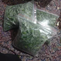 گیاه دارویی ول کواز