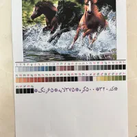 دار قالی همراه با نقشه و نخ