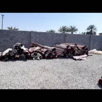 قالیشویی ومبلشویی مجاز نخل|خدمات نظافت|حاجی آباد, |دیوار