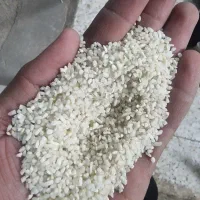 نیم دانه درجه ارسال دم منزل .