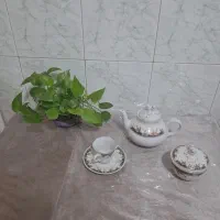 قوری|قوری، کتری، قهوه‌ساز دستی|قم, شاه سید علی|دیوار