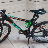 دوجرخه کوهستانی جاینت ، کلاه ایمنی جاینت