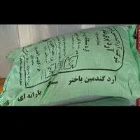 دوکیسه ارد