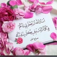 وام‌گیرنده میخام.پورسانتی