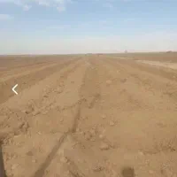 زمین-آینده-دار