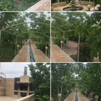 فروش ویلای۲۰۰۰متری۲خوابه درروستای چهچهه|فروش خانه و ویلا|مشهد, میان ولایت|دیوار
