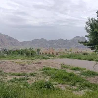 فروش زمین باغ نو