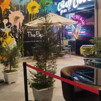 بستنی الیپی سالن کار