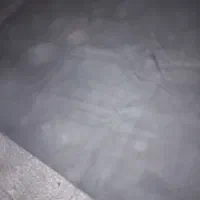 موکت|موکت|فردیس, منظریه|دیوار