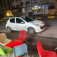 ۲۰۷ پانا فرمان برقی فوری