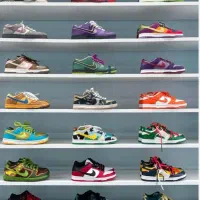 همکار خانم ( فروشنده )