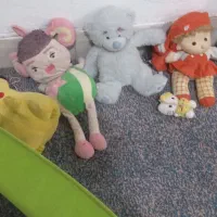 سرایدار