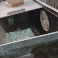 طوطی برزیلی|پرنده|اصفهان, ناصرخسرو|دیوار