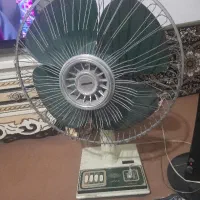 پنکه سالم