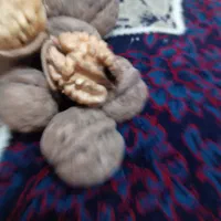 گردوی تازه وخوردنی . روغنی|خوردنی و آشامیدنی|مشگین شهر, |دیوار