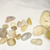 گمشده|جواهرات|زابل, |دیوار