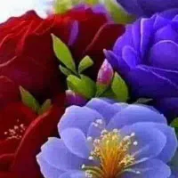 فیش حج تمتع اسفند86