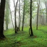 فروش-زمین-لاهیجان-زیر-قیمت-جهت-گردشگری-بوم-گردی