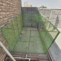 قفس پرنده