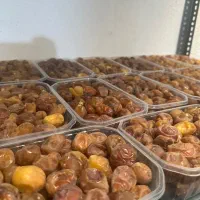 خارک و رطب برحی