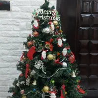 درخت کریسمس