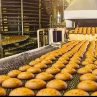 استخدام در کارخانه تولید کلوچه