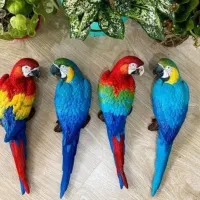 طوطی پلی استر