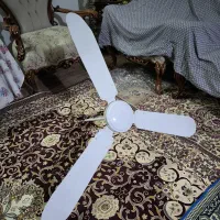 پنکه سقفی  ( اصلی )|پنکه و تصفیه‌کنندهٔ هوا|ملایر, |دیوار