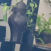 روغن دان مسی  کلکسیون