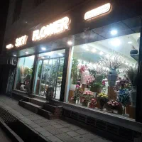 همکار خانوم جهت کار در گلفروشی شهر اراک