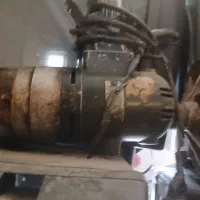 یک عدلربوش اصلی سالم باپایه