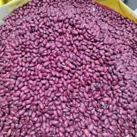 لوبیا قرمز درجه یک اعلا|خوردنی و آشامیدنی|اسلام‌شهر, مظفریه|دیوار