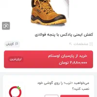 کفش مهندسی پادکس