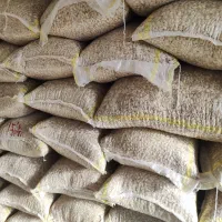 تخمه کدو گوشتی و صدفی|عمده‌فروشی|اقلید, |دیوار