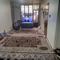 58-متری-امامزاده-کوچه-صبوری